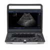 Veterinary Ultrasound