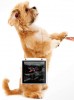 Veterinary Ultrasound